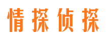 船营侦探公司